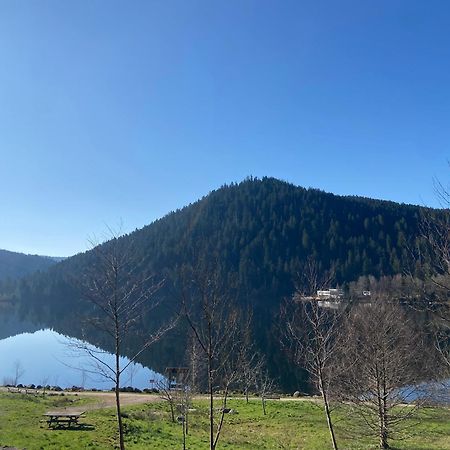 Chalet Authentique Au Calme, En Lisiere De Foret, Montagne, Sentiers 15Mn Gerardmer & Alsace "Chalet Mon Beau Sapin" Anould Экстерьер фото