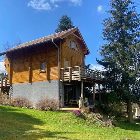 Chalet Authentique Au Calme, En Lisiere De Foret, Montagne, Sentiers 15Mn Gerardmer & Alsace "Chalet Mon Beau Sapin" Anould Экстерьер фото