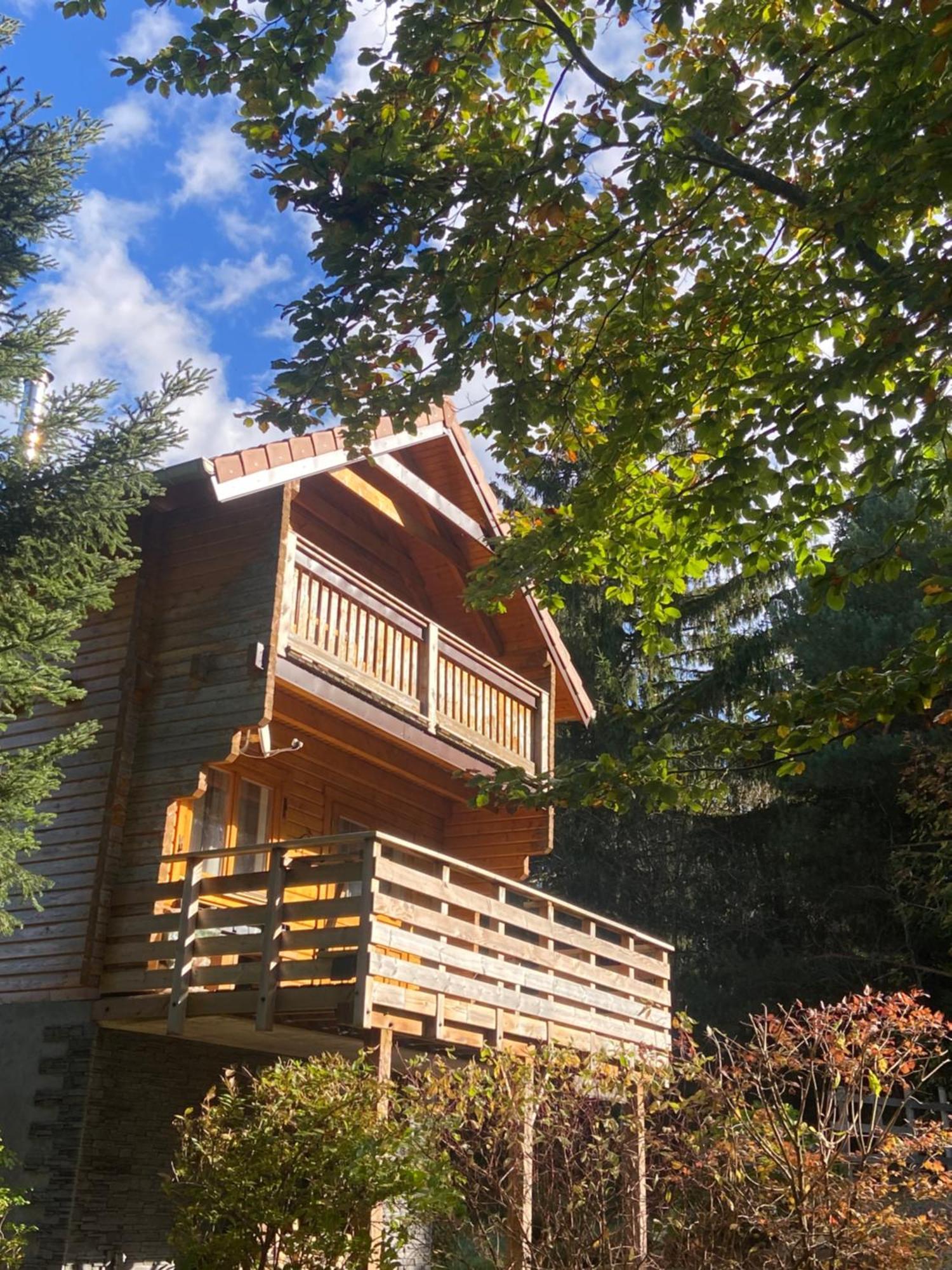 Chalet Authentique Au Calme, En Lisiere De Foret, Montagne, Sentiers 15Mn Gerardmer & Alsace "Chalet Mon Beau Sapin" Anould Экстерьер фото