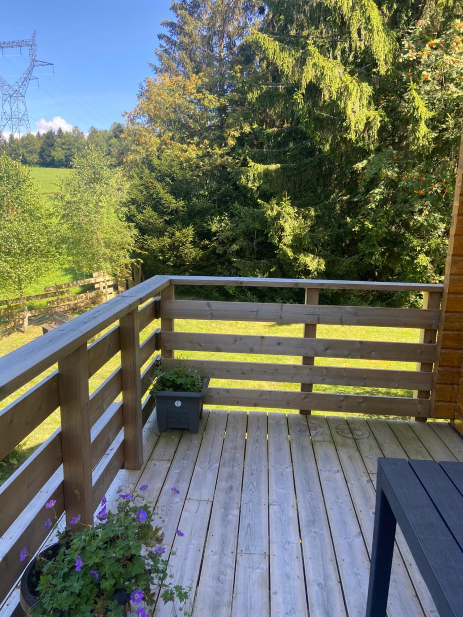 Chalet Authentique Au Calme, En Lisiere De Foret, Montagne, Sentiers 15Mn Gerardmer & Alsace "Chalet Mon Beau Sapin" Anould Экстерьер фото