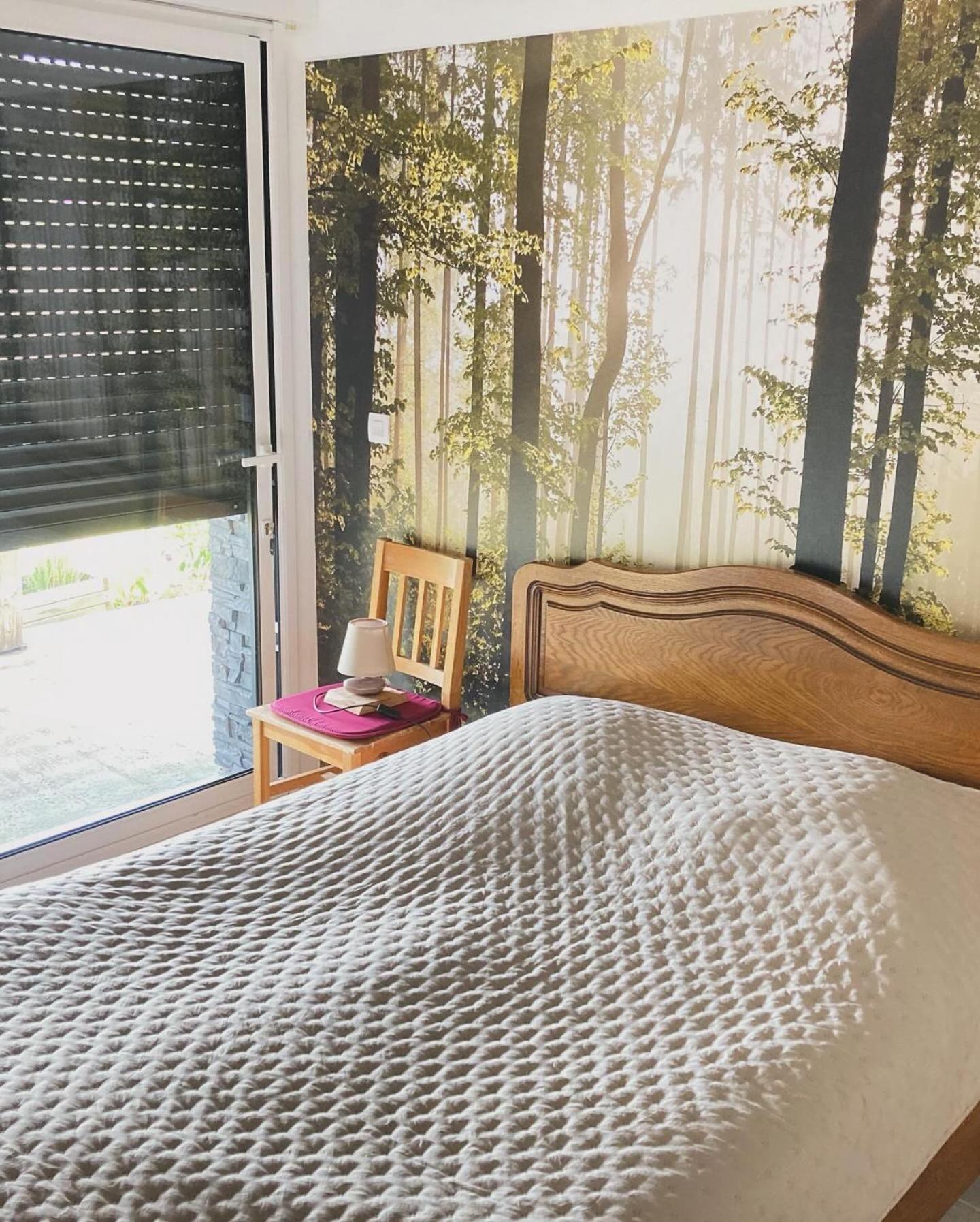 Chalet Authentique Au Calme, En Lisiere De Foret, Montagne, Sentiers 15Mn Gerardmer & Alsace "Chalet Mon Beau Sapin" Anould Экстерьер фото