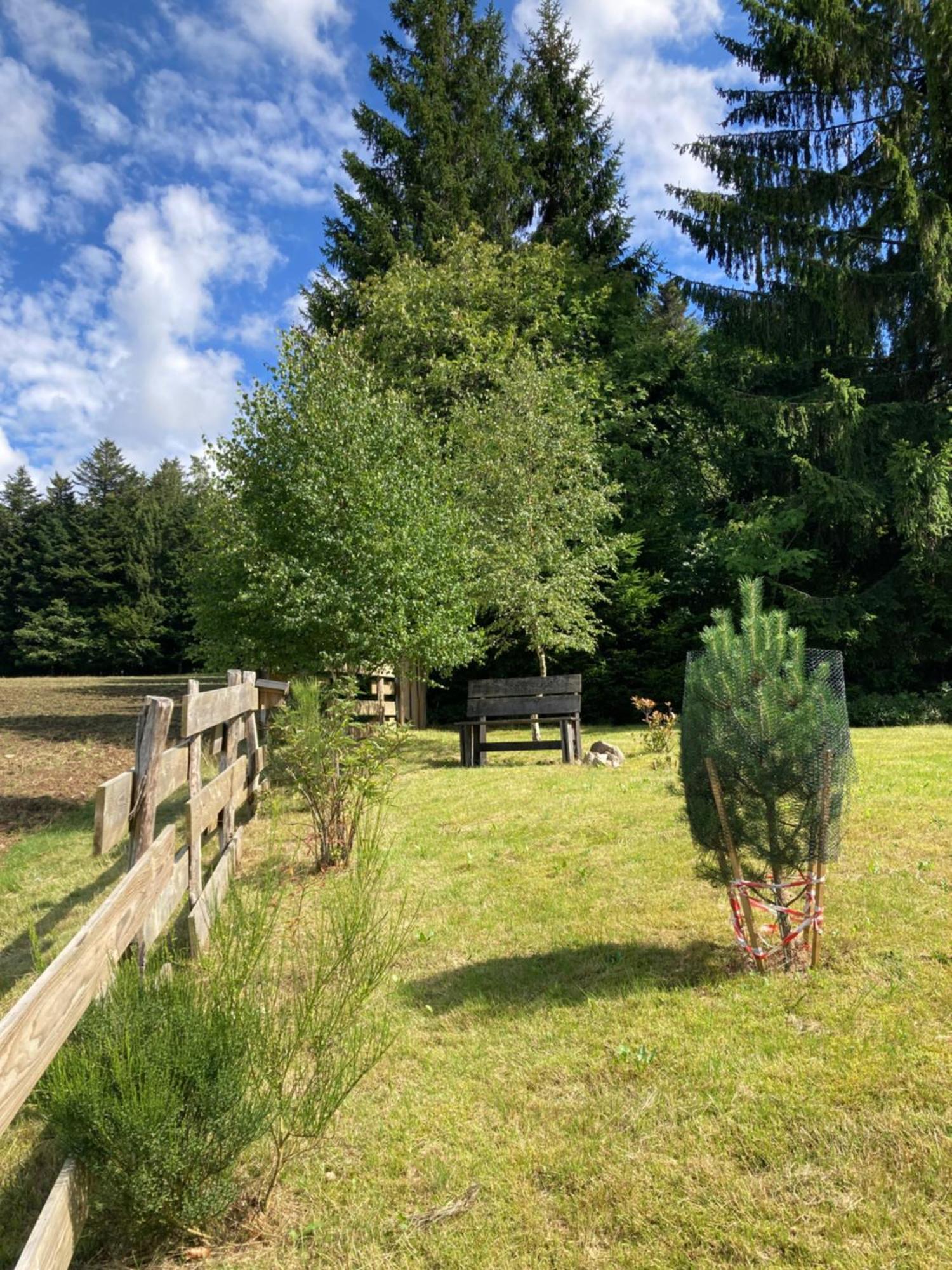 Chalet Authentique Au Calme, En Lisiere De Foret, Montagne, Sentiers 15Mn Gerardmer & Alsace "Chalet Mon Beau Sapin" Anould Экстерьер фото