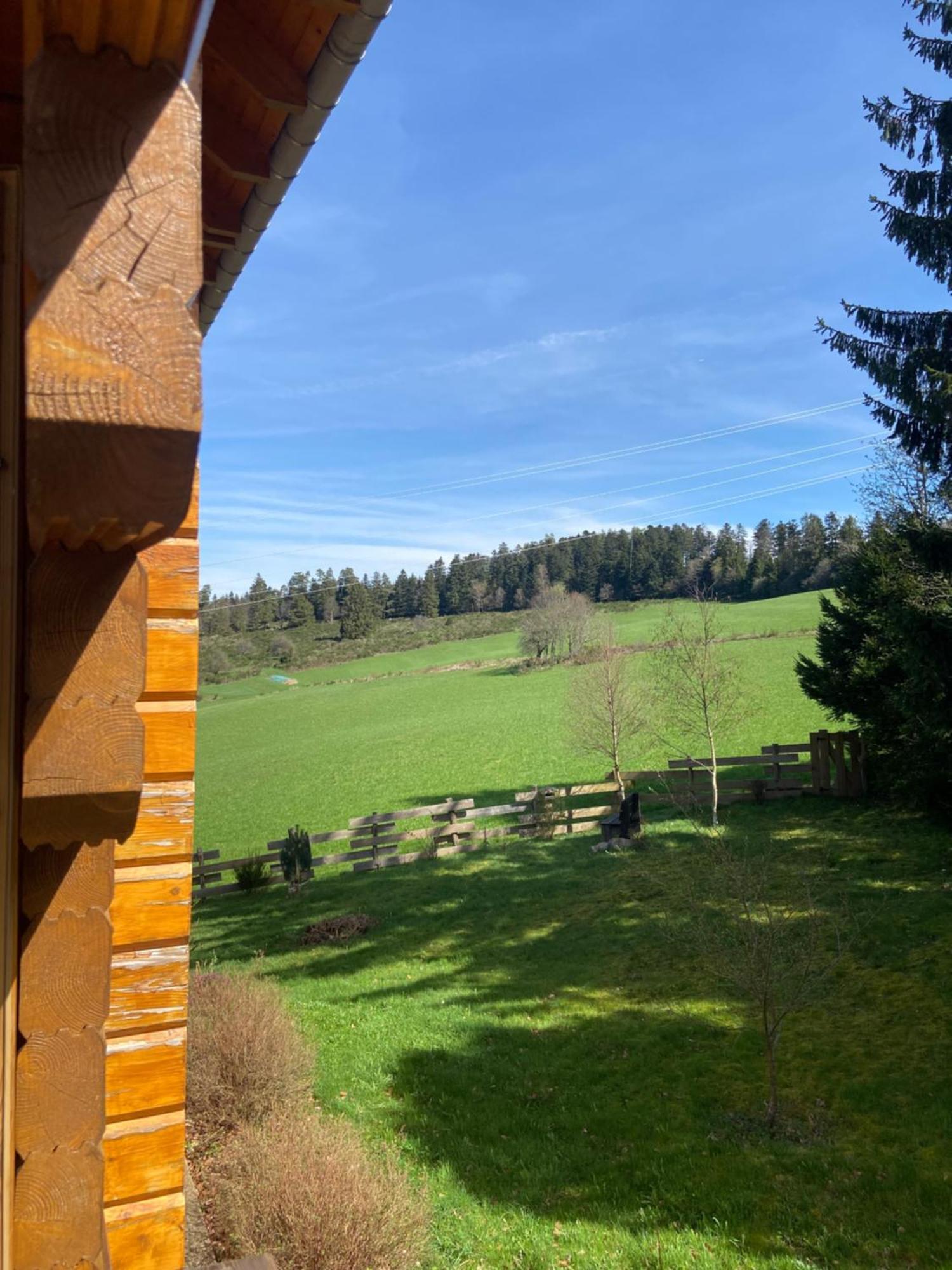 Chalet Authentique Au Calme, En Lisiere De Foret, Montagne, Sentiers 15Mn Gerardmer & Alsace "Chalet Mon Beau Sapin" Anould Экстерьер фото