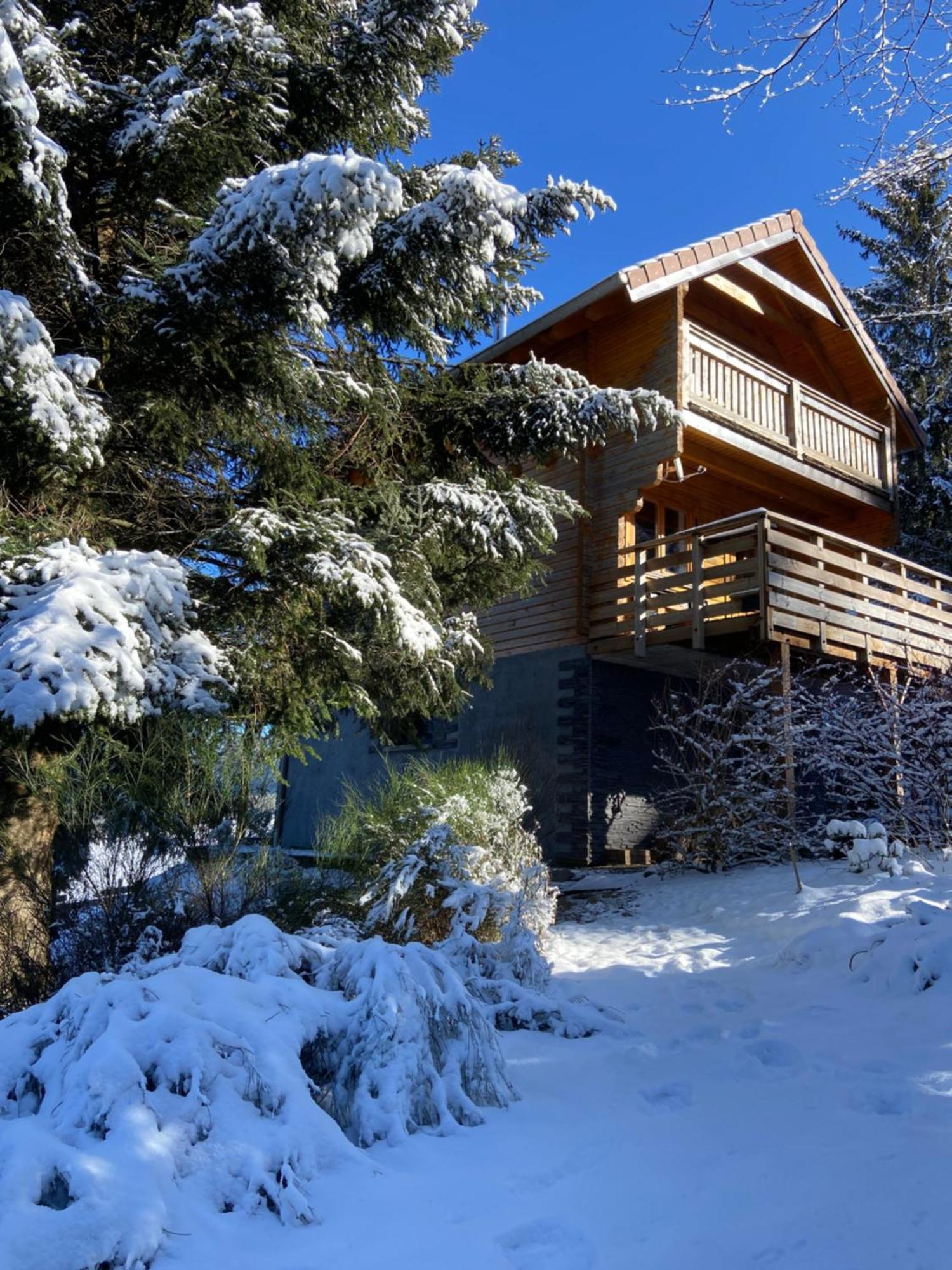 Chalet Authentique Au Calme, En Lisiere De Foret, Montagne, Sentiers 15Mn Gerardmer & Alsace "Chalet Mon Beau Sapin" Anould Экстерьер фото