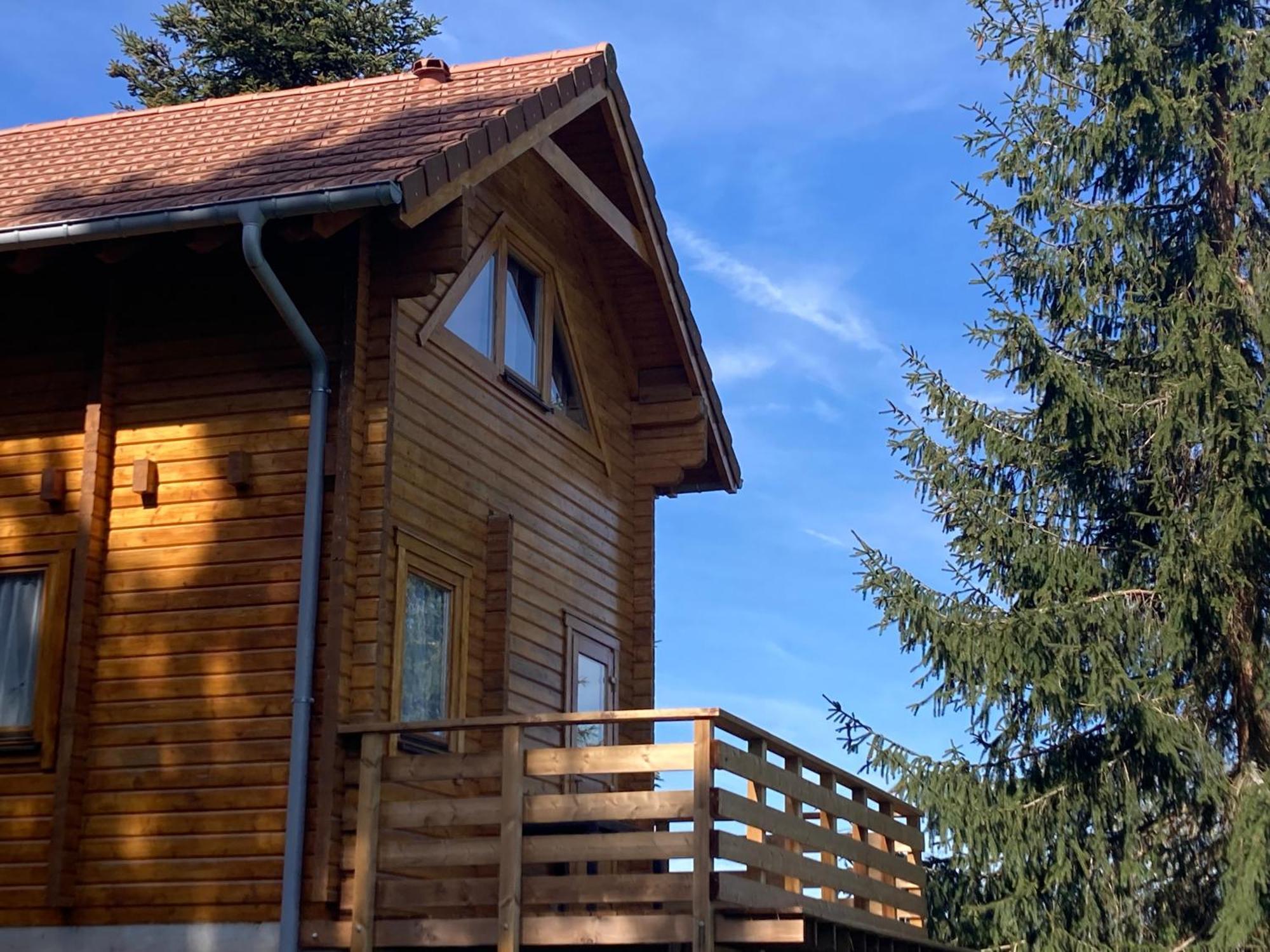 Chalet Authentique Au Calme, En Lisiere De Foret, Montagne, Sentiers 15Mn Gerardmer & Alsace "Chalet Mon Beau Sapin" Anould Экстерьер фото