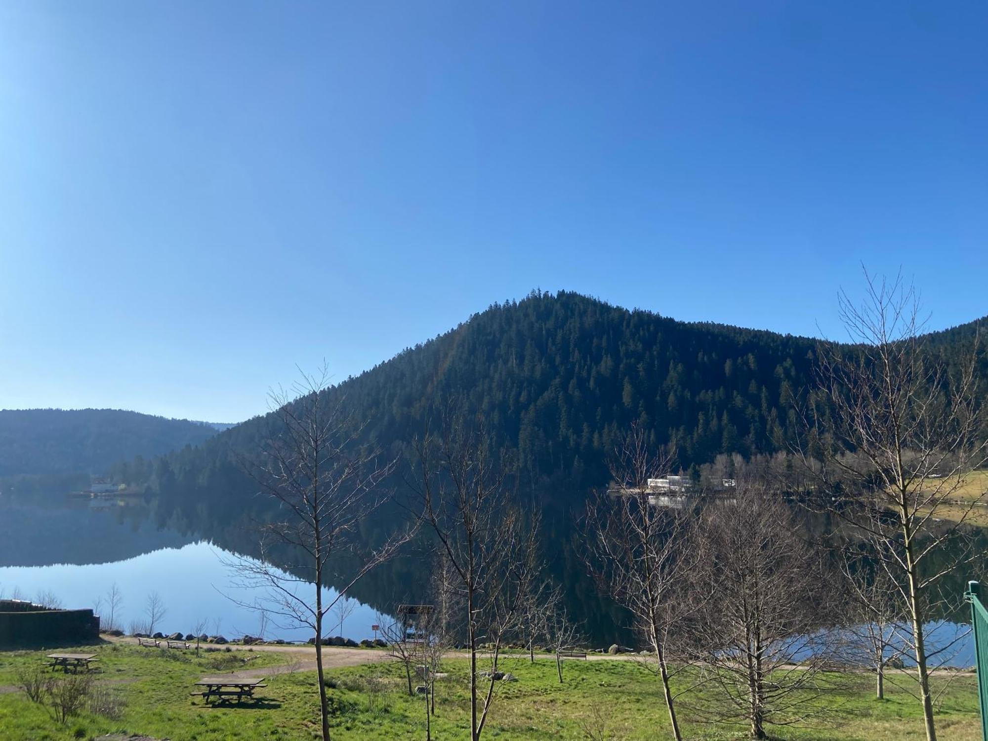 Chalet Authentique Au Calme, En Lisiere De Foret, Montagne, Sentiers 15Mn Gerardmer & Alsace "Chalet Mon Beau Sapin" Anould Экстерьер фото