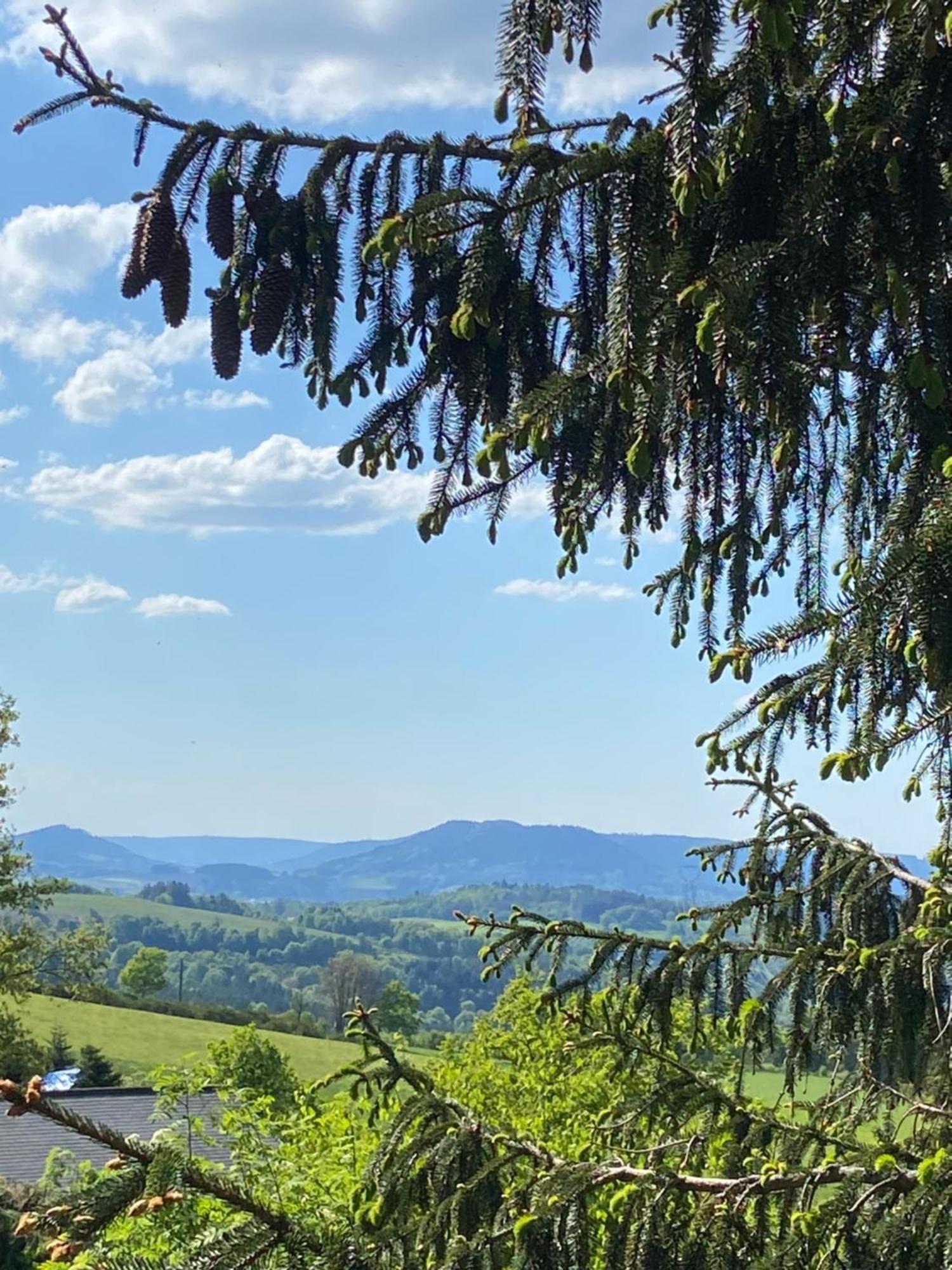 Chalet Authentique Au Calme, En Lisiere De Foret, Montagne, Sentiers 15Mn Gerardmer & Alsace "Chalet Mon Beau Sapin" Anould Экстерьер фото