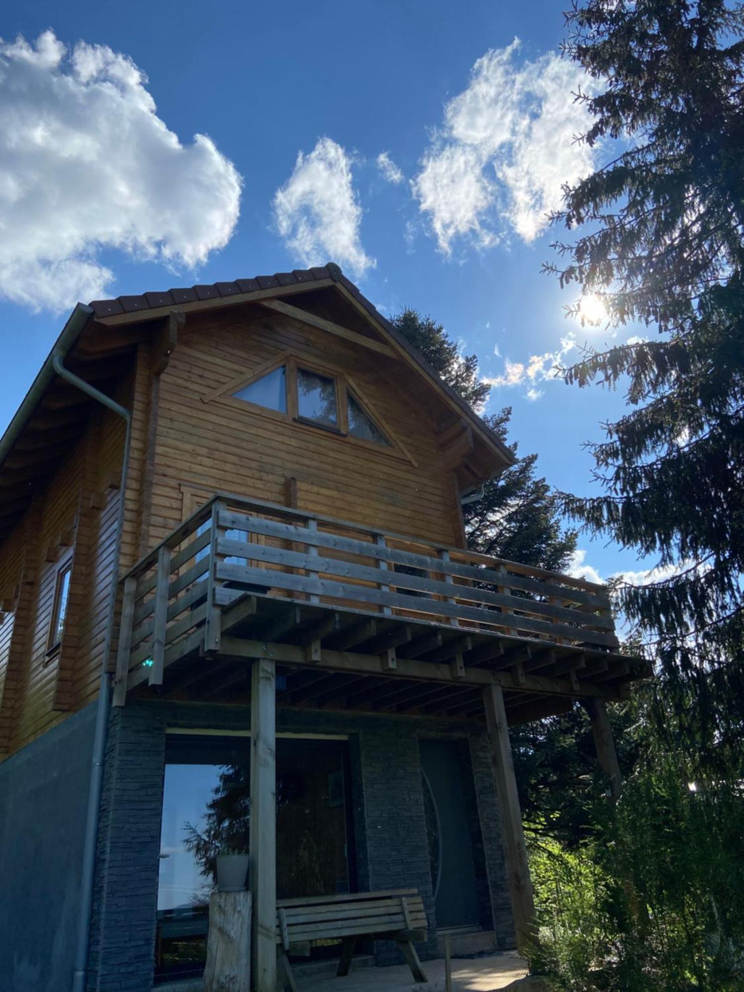 Chalet Authentique Au Calme, En Lisiere De Foret, Montagne, Sentiers 15Mn Gerardmer & Alsace "Chalet Mon Beau Sapin" Anould Экстерьер фото